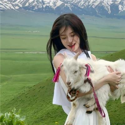 陀枪师姐3
