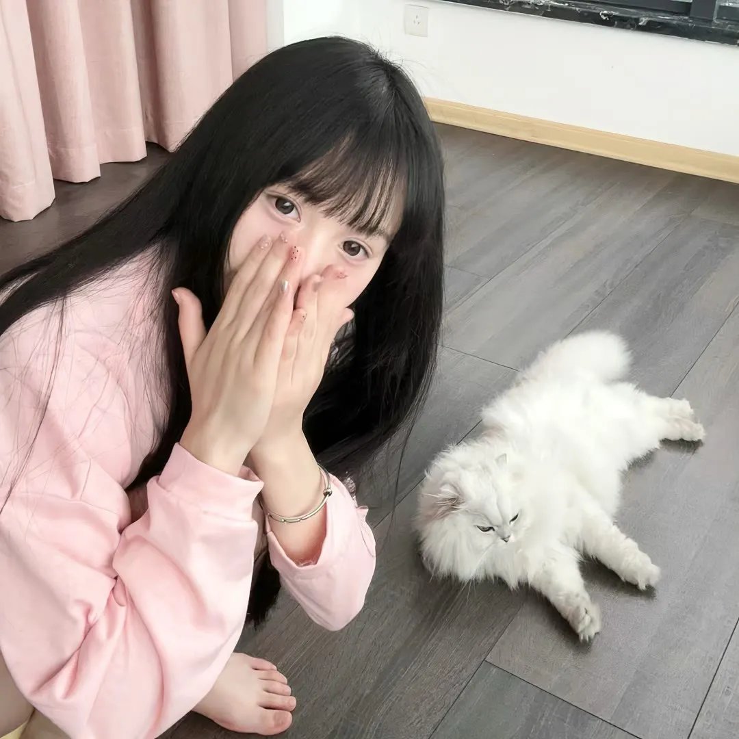 山丹丹花儿开